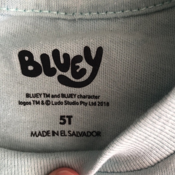 MOOSE Toddler Boy Girl Bluey Printed Short Sleeve T-Shirt Green 5T - Picture 6 of 8